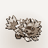 Zigzagoon